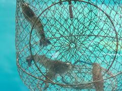 -SHRIMP CLUB万东餐饮钓虾·清吧