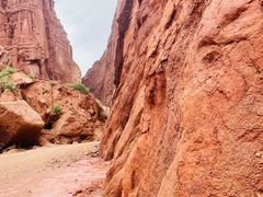 -天山神秘大峡谷