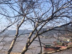 -北岐滩涂
