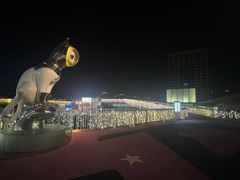 -上海长风大悦城
