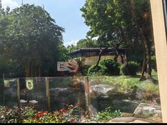 -熊猫自助餐厅.萌趣城堡(长隆熊猫酒店)