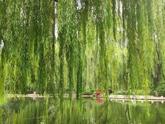 -玲珑塔公园