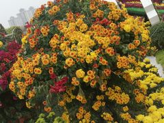 -咸阳湖景区-统一广场