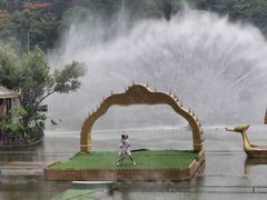 -西双版纳原始森林公园