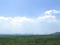 -灵谷景区