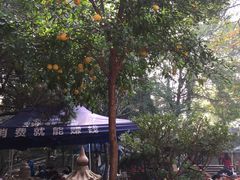 -兴福老面馆(寺路街店)