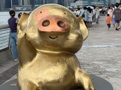 -星光大道