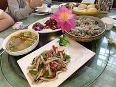 鸡纵菌-山菌美食苑(振兴路店)