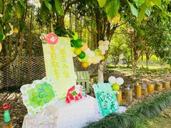 -硅谷蒙学幼儿园