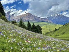 -厨神老街兔·淳朴人家店(盐帮菜风味名店)