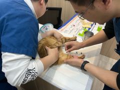 -申普宠物医院·眼科·心内科·影像科(普陀分院)