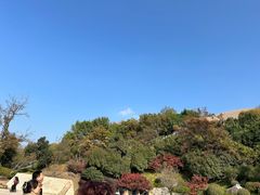 -牛首山文化旅游区