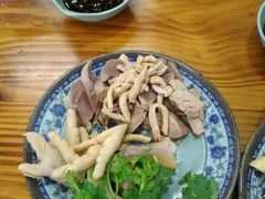 -九斤黄三黄鸡专卖店