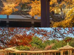 -北山街历史文化街区