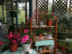 -兰桂坊·花园餐厅(西湖店)