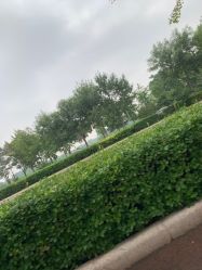 -HEYAN长风荷妍专业脱毛美肤
