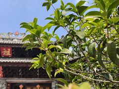 -华林禅寺