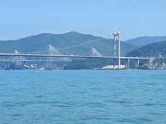 -招商蛇口邮轮母港(观光客运)