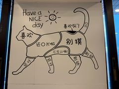 -有喵·猫咖·狗咖·30几只猫10只小狗(岗厦店)