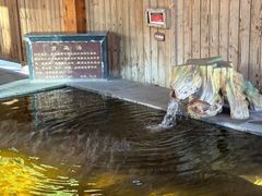 -福州贵安·温泉世界