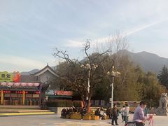 -西安秦岭野生动物园