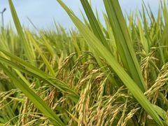 -中国天府农业博览园