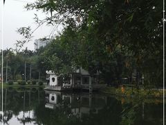 -晓港公园