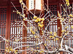 -天朝元辅-徐州民俗博物馆