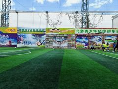 -飞梦少儿足球培训(塘桥校区)