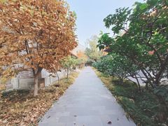 -香山公园