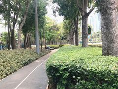 -福田红树林生态公园
