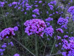 -杭州城北体育公园