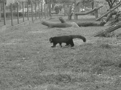 -长春公园(普阳街道)