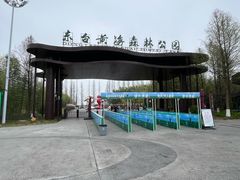 -黄海国家森林公园