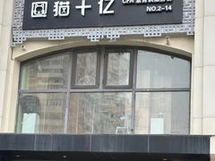 -猫十亿·布偶金渐层·曼基康矮脚猫舍(青年路店)