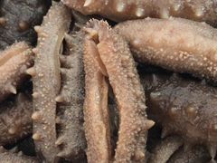 -青岛沙子口国家中心渔港