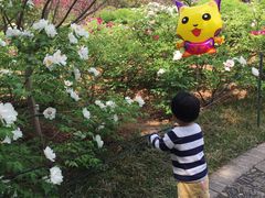 -洛阳市隋唐城遗址植物园