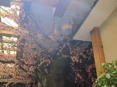 -鸥迪足道(安庆店)
