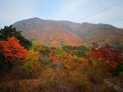 -北京鹫峰国家森林公园