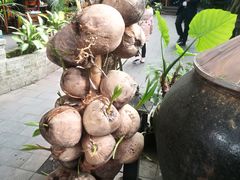 -农厨好味·温泉鹅·农家菜
