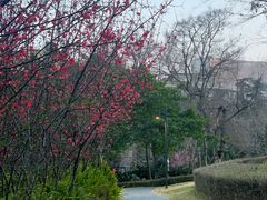 -成都市活水公园
