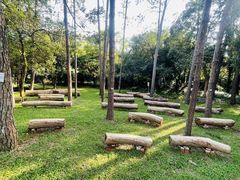 -南宁良凤江国家森林公园