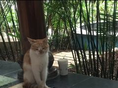 -龙达温泉生态城