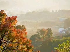 -塔川景区