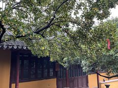 -灵岩山风景区