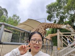 -泉州海丝野生动物世界