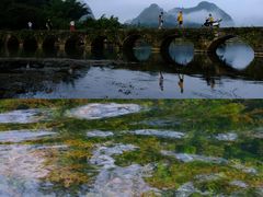 -靖西鹅泉风景区
