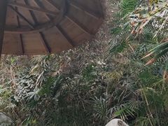 -龙达温泉生态城