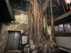 -文儒九号·闽菜馆(三坊七巷店)