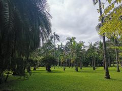 -中国科学院西双版纳热带植物园
